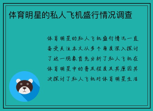 体育明星的私人飞机盛行情况调查